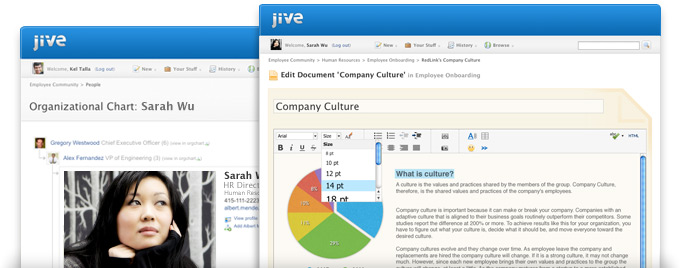 secure social networking software for the global enterprise